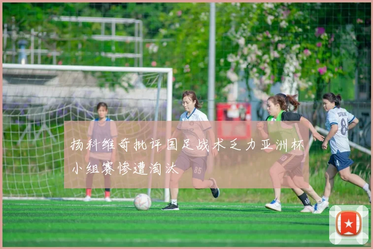 扬科维奇批评国足战术乏力亚洲杯小组赛惨遭淘汰